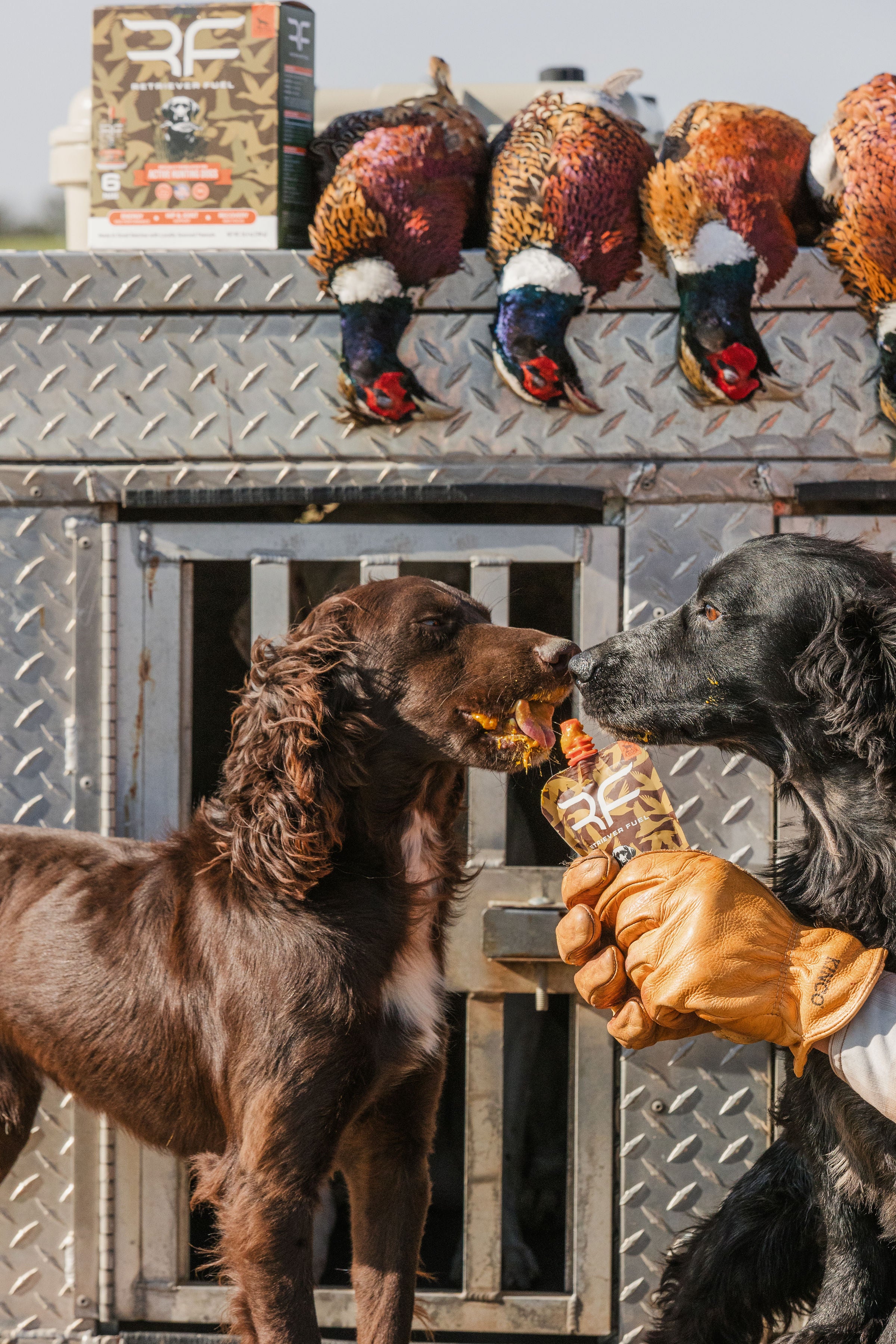 Retriever Fuel