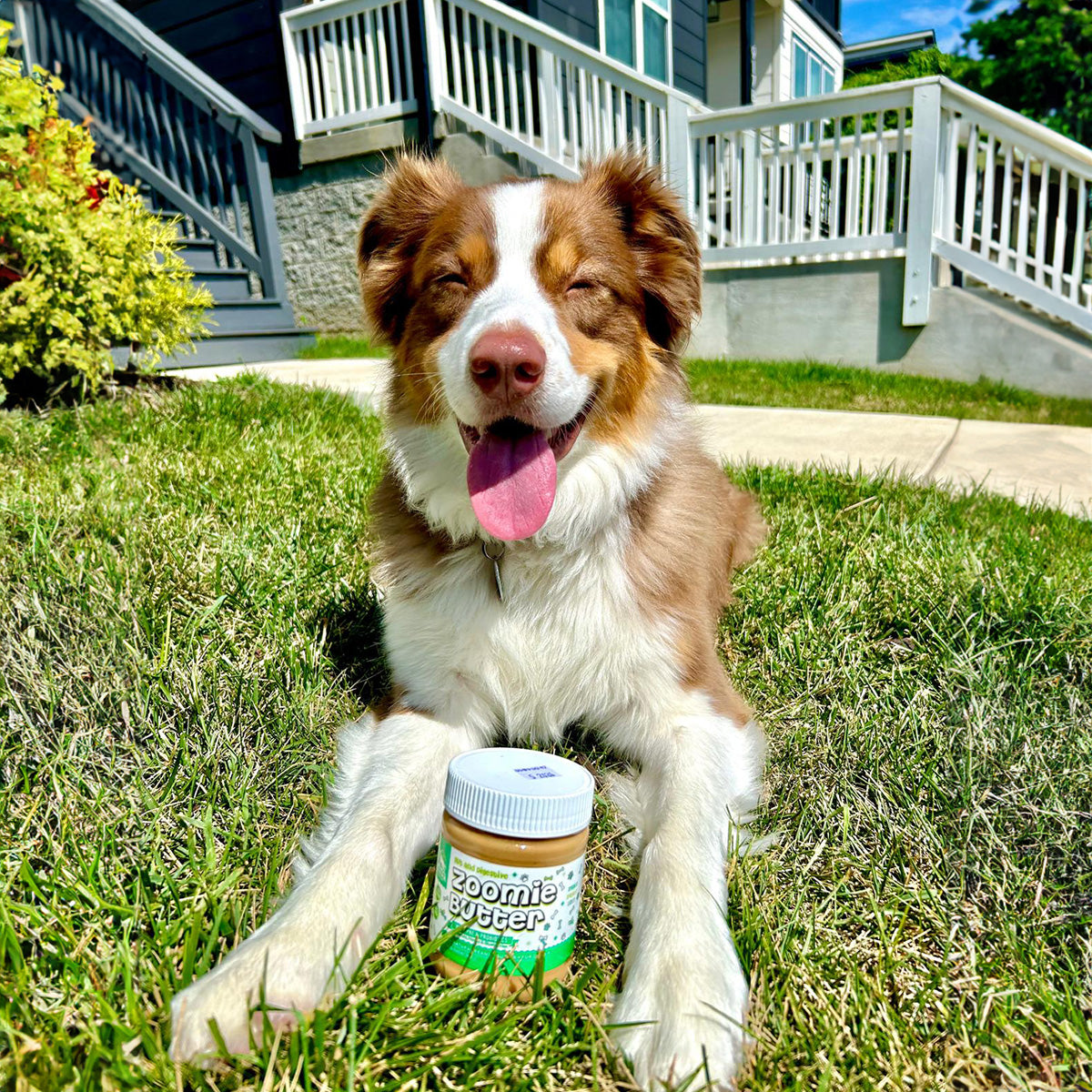 2 Jars, Zoomie Butters Subscription